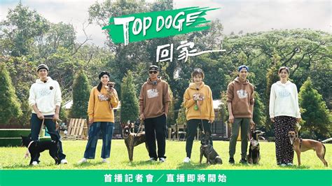 台灣藝人養貓|《TOP DOG 回家》真實記錄寄養和送養過程